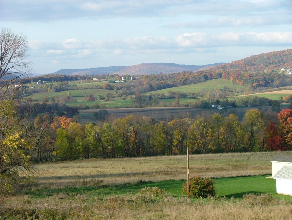 Autumn Mountains & Fields
